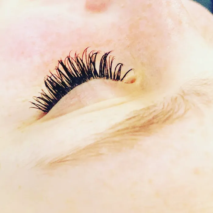 Lavish Aesthetics Picture 4