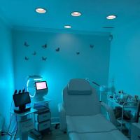 Korean Skin Esthetic ico