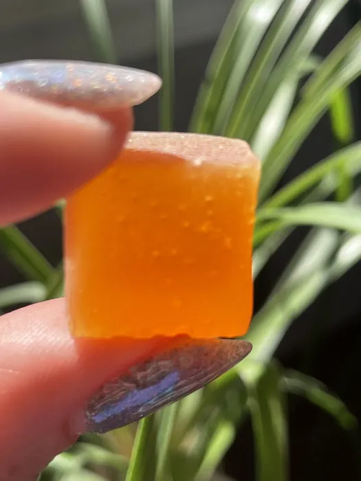 Glowshroom Apothecary Picture 5