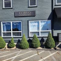 Purple Lotus Beauty Co. ico