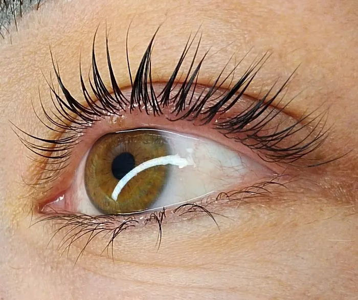 Purple Lotus Beauty Co. Picture 3