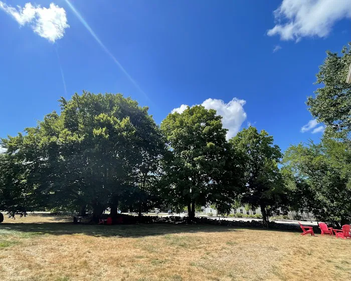 Adriane Esthetics, LLC Picture 1