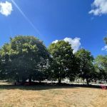 Adriane Esthetics, LLC