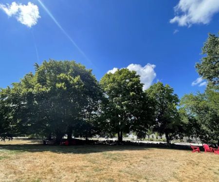 Adriane Esthetics, LLC