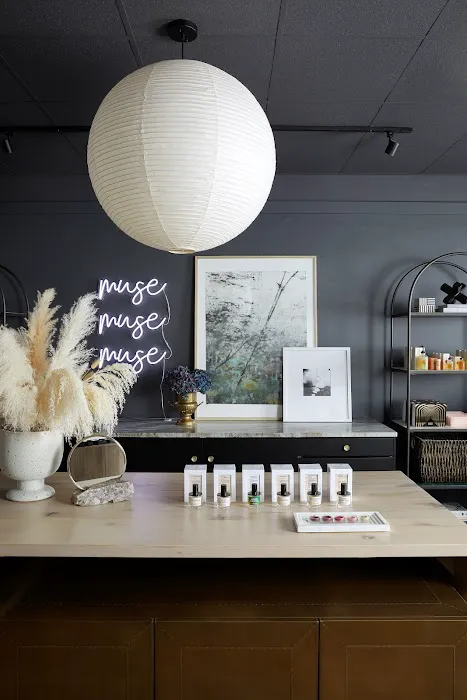 Beauty Muse Picture 4