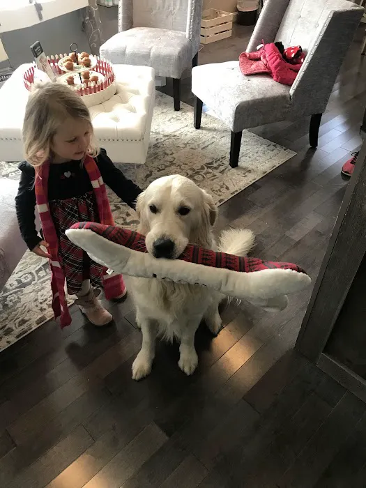 Euphoria Skin & Wellness Picture 1