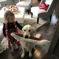 Euphoria Skin & Wellness ico