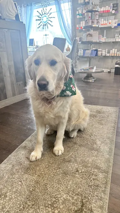 Euphoria Skin & Wellness Picture 3