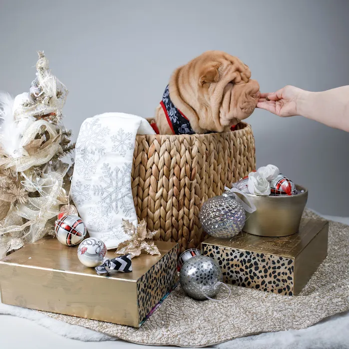 Esthetics Center New England Picture 2