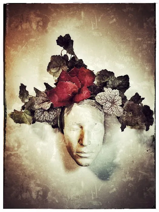 Birch Tree Esthetics Picture 5