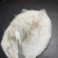 Balanced Beauty skincare ico