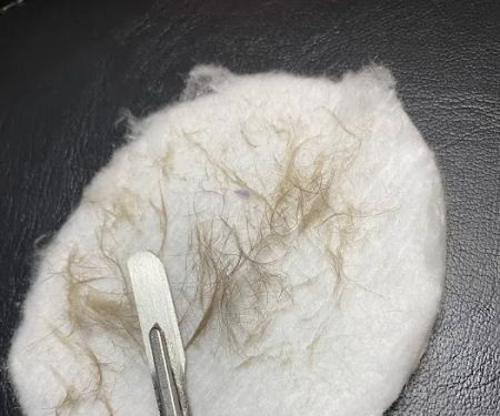 Balanced Beauty skincare