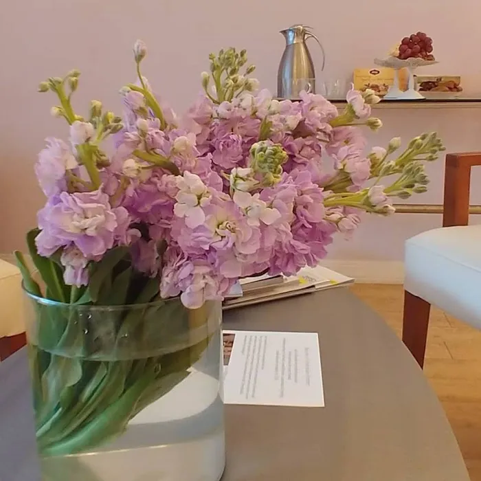 Violet Skin Boutique Picture 4