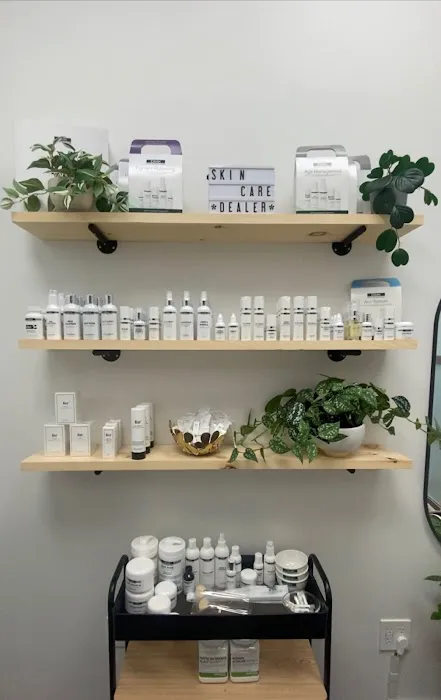 Alto Studio Picture 2