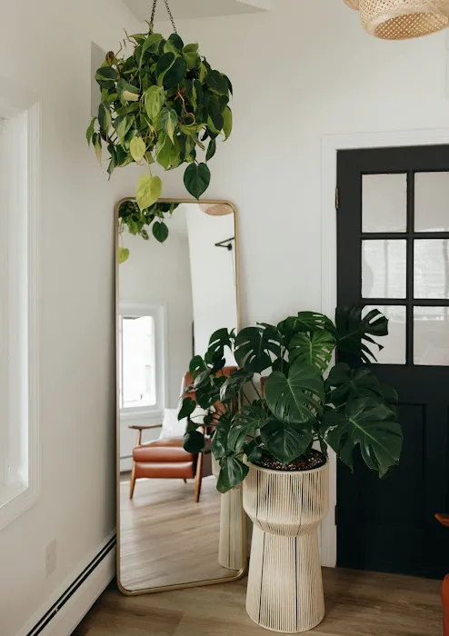 Oak & Oliver Skin Lounge Picture 1