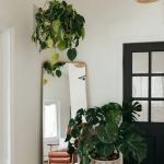 Oak & Oliver Skin Lounge