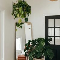 Oak & Oliver Skin Lounge ico