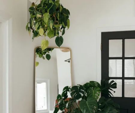 Oak & Oliver Skin Lounge