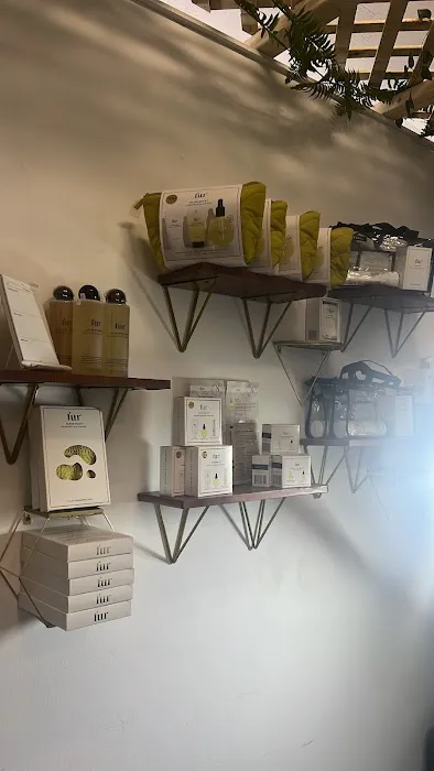 Same Different Skin Picture 7