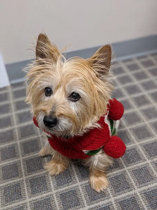 Voguecare Electrolysis & Skin Care Picture 1