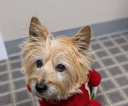 Voguecare Electrolysis & Skin Care