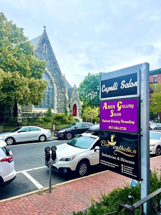 Bio Esthetics Picture 1