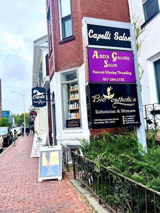 Bio Esthetics Picture 4