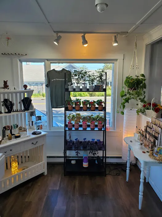 Verbena Studio Picture 1