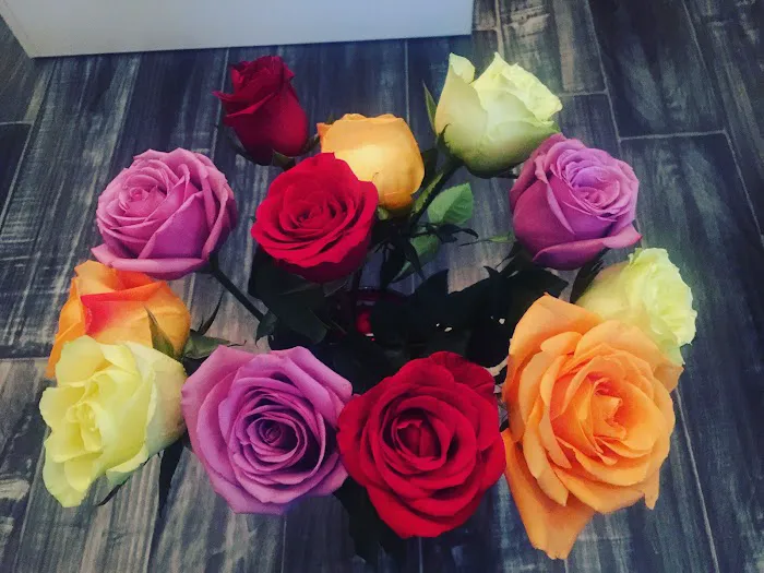 Unique Verve Picture 6