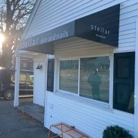 stellar skin and nails ico