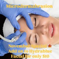 Fraiche Visage Aesthetics, LLC. ico