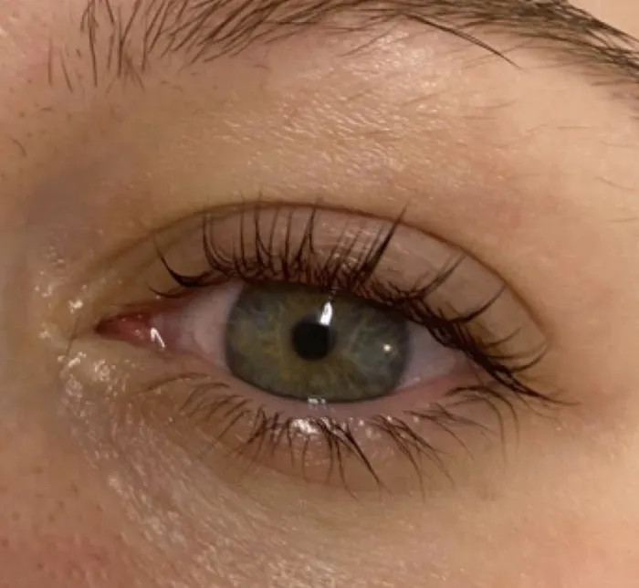 Ethical Esthetics Picture 2