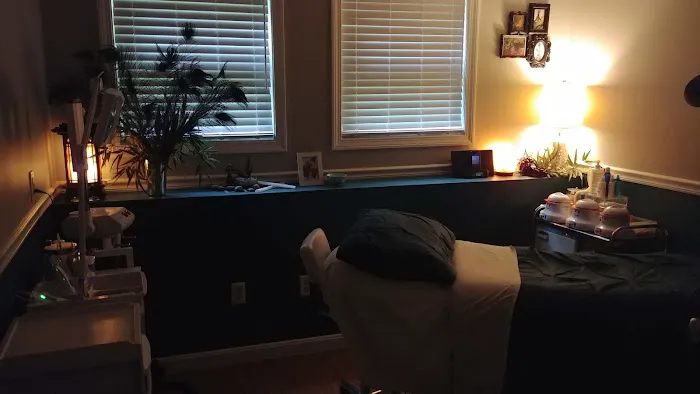 Traci Collins Skincare Studio Picture 10