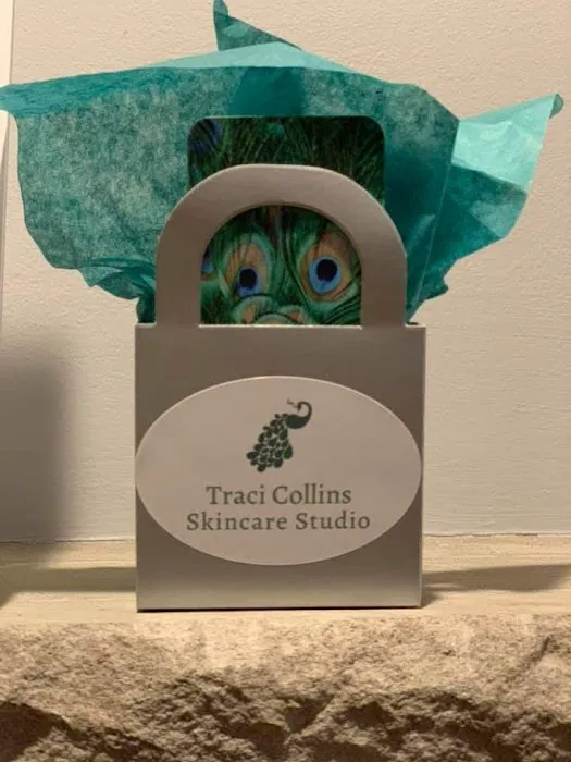 Traci Collins Skincare Studio Picture 7