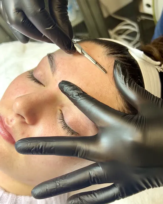 IQ Esthetics Picture 8