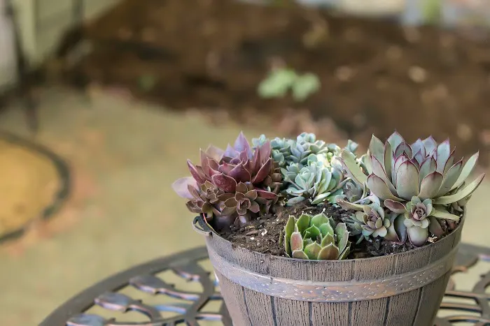 Radiant U Esthetics and Massage Picture 7