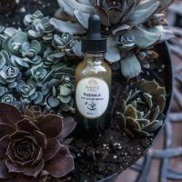 Radiant U Esthetics and Massage ico