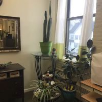 Saving Faces Acne and Skincare Clinic ico