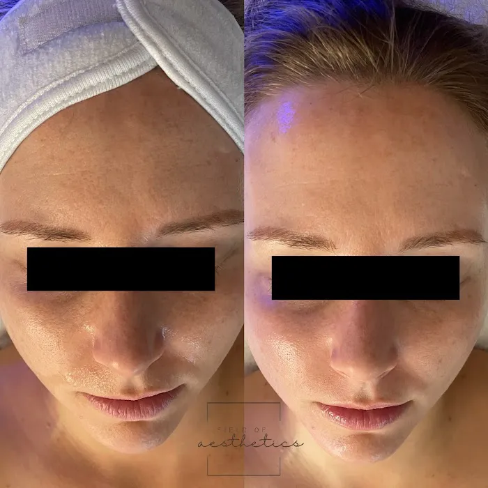 Field of Aesthetics Picture 9