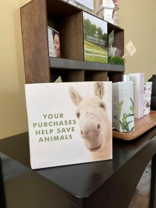 Sunflower Grace, LLC Picture 8