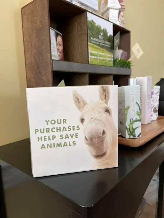 Sunflower Grace, LLC Picture 9