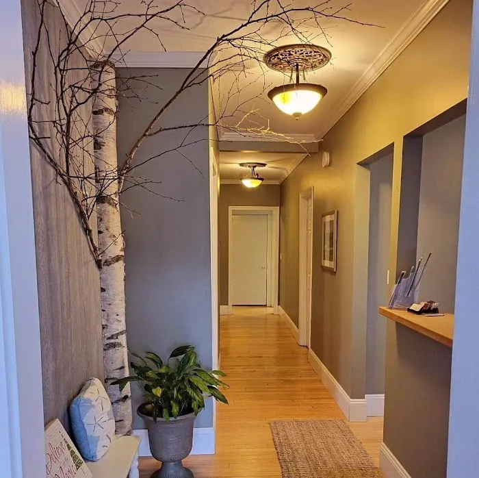 Beauty Saint Aesthetics Picture 2