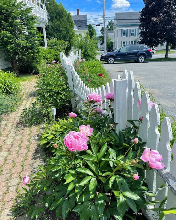 M Kelley Skincare: Mackenzie Kelley Picture 1