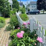 M Kelley Skincare: Mackenzie Kelley