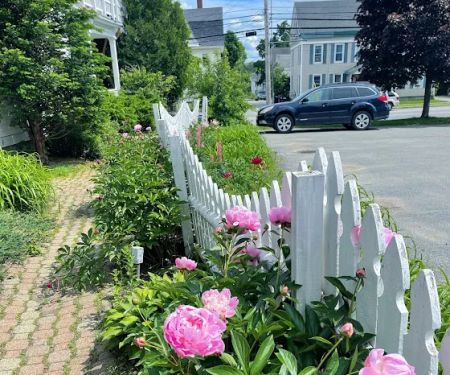 M Kelley Skincare: Mackenzie Kelley