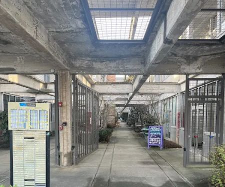 Skin So Bare Laser Center