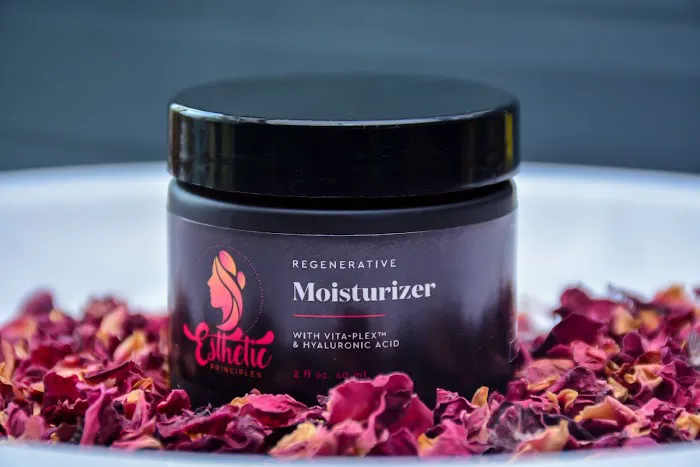 Esthetic Principles Picture 6