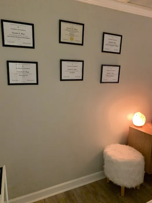 Esthetic Principles Picture 4