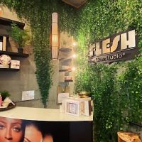 Flesh Skin Studio ico