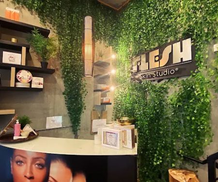 Flesh Skin Studio